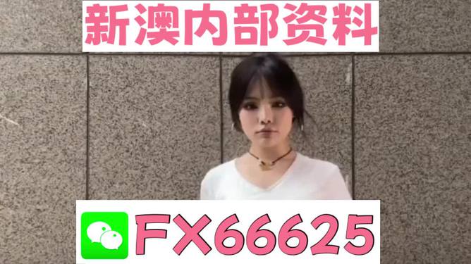 澳門資料大全正版資料查詢，探索澳門的文化與歷史深度之旅，澳門文化與歷史深度探索，正版資料大全及查詢指南