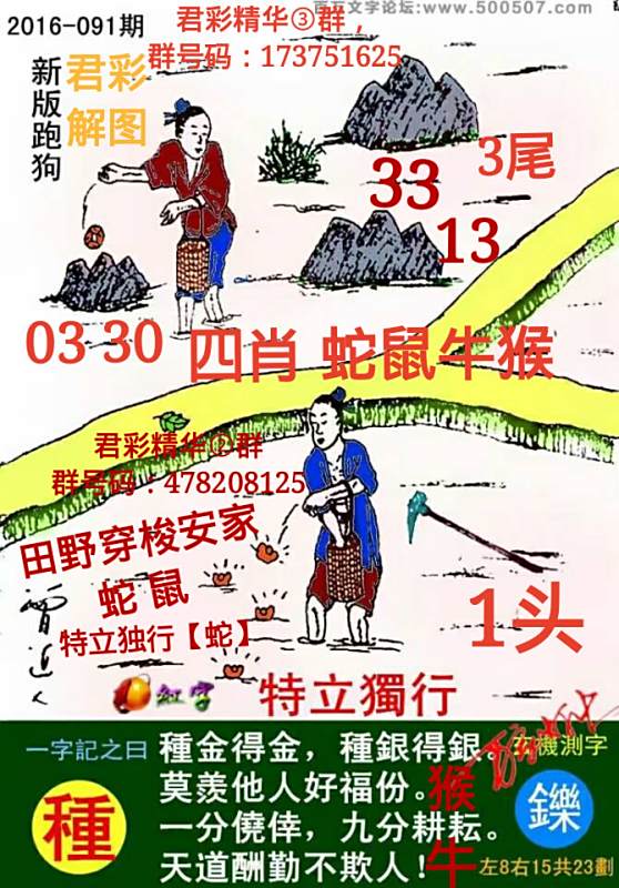 揭秘7777788888精準(zhǔn)新跑狗圖，全方位解讀其背后的秘密，揭秘新跑狗圖7777788888，全方位解讀背后的真相與秘密
