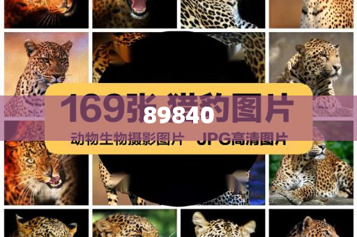 揭秘新奧集團，展望未來的最新資料，探尋五不中的奧秘，新奧集團未來展望，探尋五不中的奧秘與揭秘最新發展資料