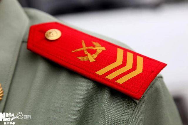 解析軍士長與士官長的差異，職責、權利及地位的對比，解析軍士長與士官長的職責、權利與地位差異對比