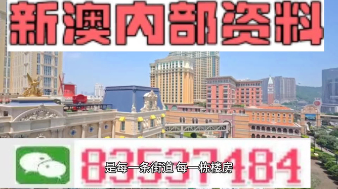 新澳門最精準正最精準龍門——探索澳門的魅力與機遇，澳門魅力與機遇探索，新澳門最精準龍門