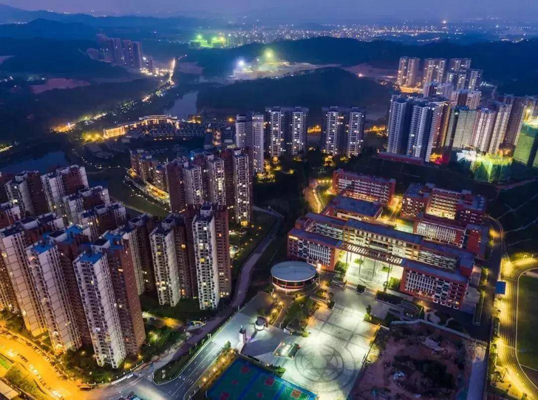 關于2025新門正版免費資本的探討，關于2025新門正版免費資本的深度探討