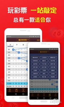揭秘2019王中王一肖，成功背后的故事與秘密，揭秘王中王一肖的成功之路，背后的故事與秘密