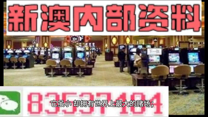 新澳門正版資料免費公開，探索與解析，澳門正版資料探索解析，免費公開的新發(fā)現(xiàn)