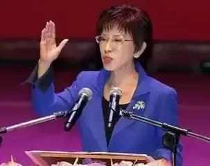 洪秀柱宣布退出中國(guó)國(guó)民黨，回顧與前瞻，洪秀柱退出中國(guó)國(guó)民黨，回顧過(guò)去，展望未來(lái)