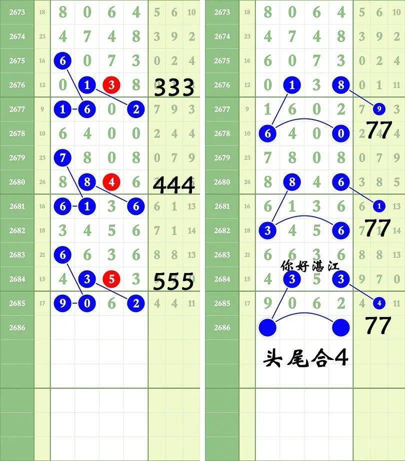 一肖三碼王中王絕密，揭秘背后的秘密與策略，揭秘一肖三碼王中王絕密策略與背后秘密