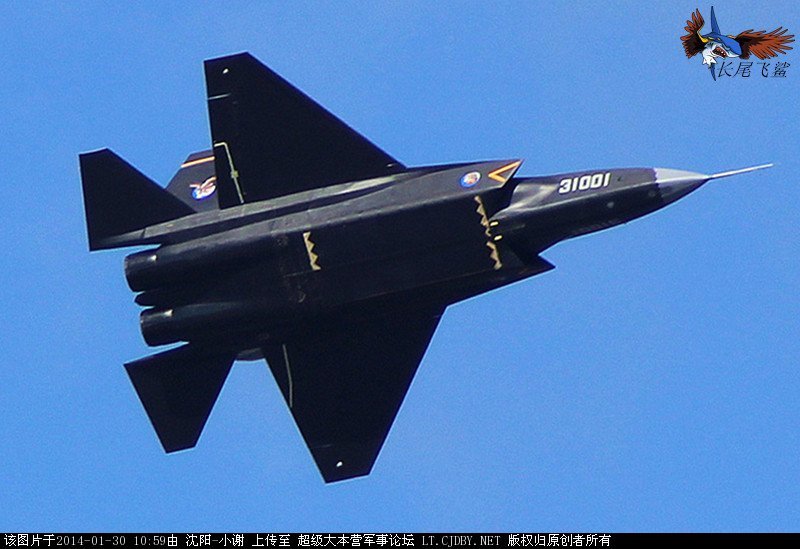 殲31飛機模型，探索其獨特魅力與重要性，殲31飛機模型，獨特魅力與重要性的深度探索