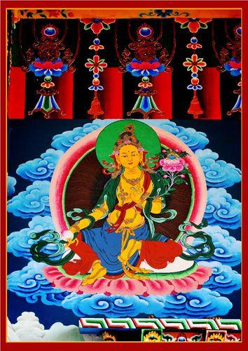 澳門金光佛最快開獎現場——揭秘彩票開獎的奧秘，澳門金光佛開獎現場揭秘，彩票開獎背后的奧秘