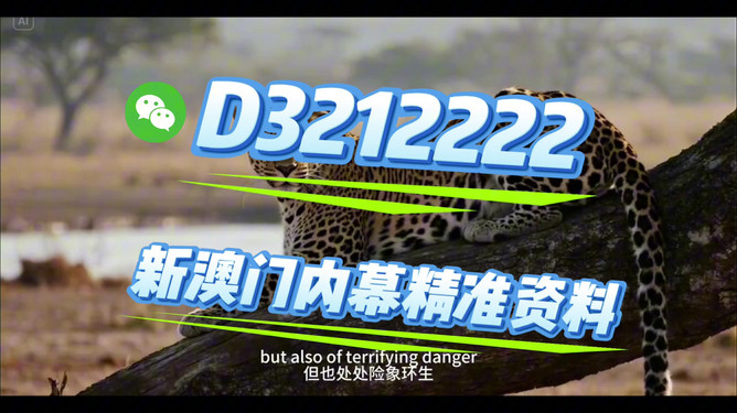 揭秘未來，探索2025開特馬最準確一肖預測之道，揭秘未來，探索精準預測2025開特馬生肖之道