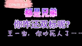 一肖二肖是什么意思——深度解析中國民俗中的生肖文化，深度解析中國民俗中的生肖文化，一肖二肖的含義與故事