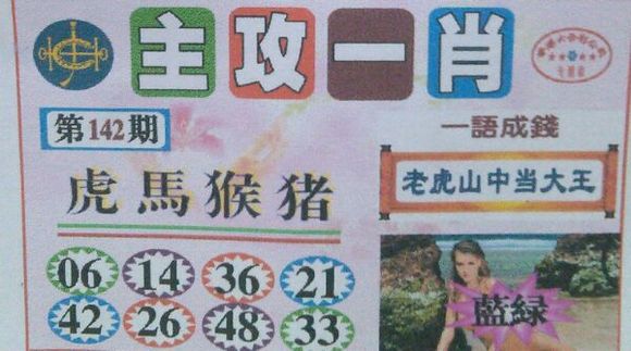 王中王號碼一肖，揭秘背后的秘密與策略，揭秘王中王號碼一肖背后的秘密與策略之道