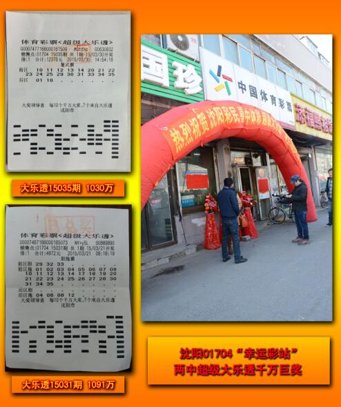王中王平特一肖二選一，深度解析與SEO優(yōu)化策略，王中王平特一肖二選一深度解析與SEO策略優(yōu)化指南