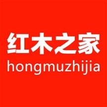 最新開獎動態解讀