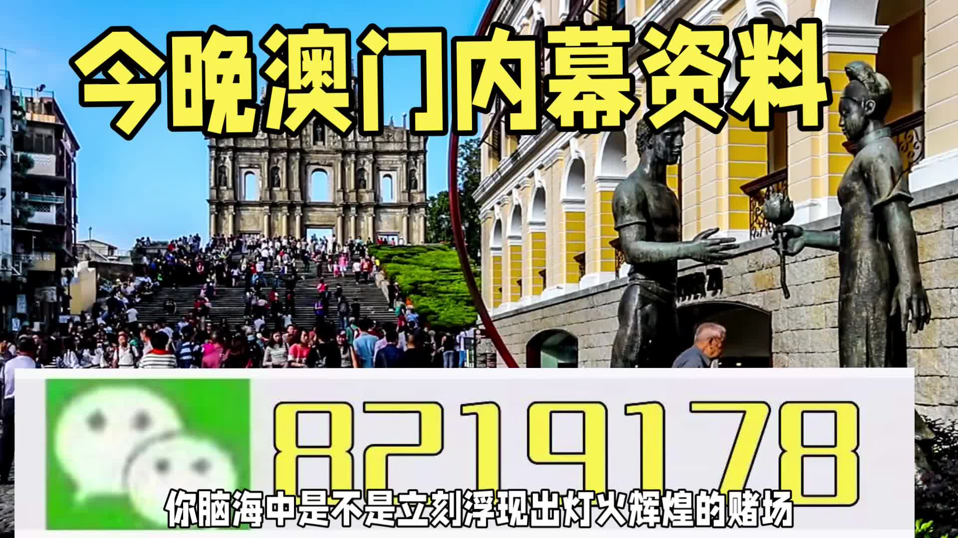 新澳門一肖一特一中，探索與解讀，新澳門一肖一特一中，深度探索與解讀