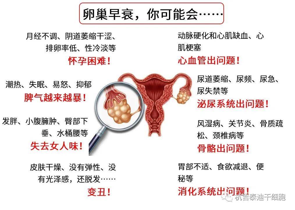 四十歲卵巢早衰能否調整回來?解讀卵巢早衰與應對策略,四十歲卵巢早衰能否調整回來?解讀卵巢早衰現象及應對策略