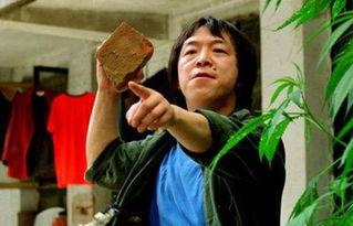 王中王丑中王解一肖,探尋背后的故事與奧秘,探尋王中王丑中王解一肖背后的故事與奧秘