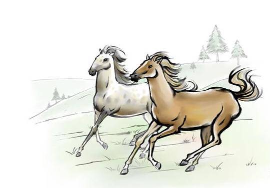 今期必劉伯溫打一生肖——探尋生肖奧秘與傳奇人物劉伯溫的關聯，劉伯溫與生肖奧秘，探尋傳奇人物與生肖的關聯