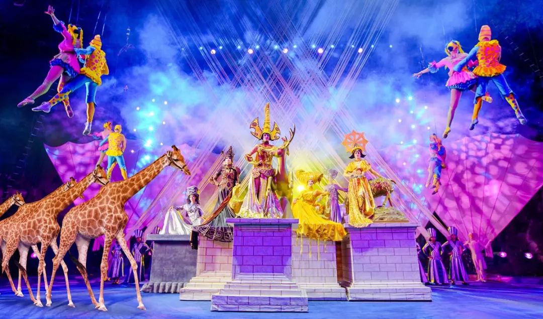 新奧門天天開將資料大全——全面解析與實用指南,新奧門天天開將資料大全,全面解析與指南