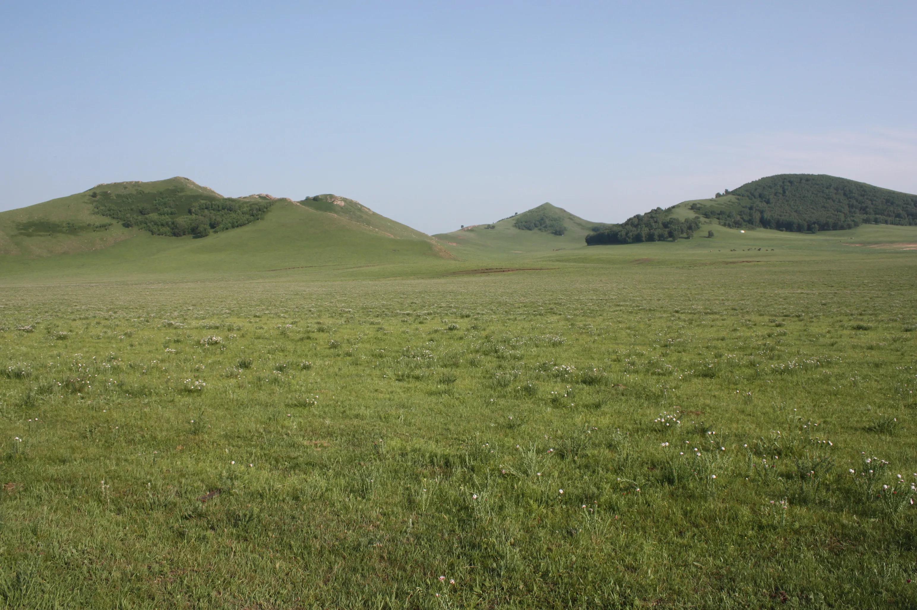 烏蘭布統三日游最佳方案,深度探索草原之美,烏蘭布統三日游,草原深度探索之旅