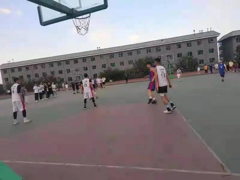 澳門二四六天下彩天天免費大全——全面解析澳門彩票文化,澳門彩票文化全面解析,二四六天下彩免費大全