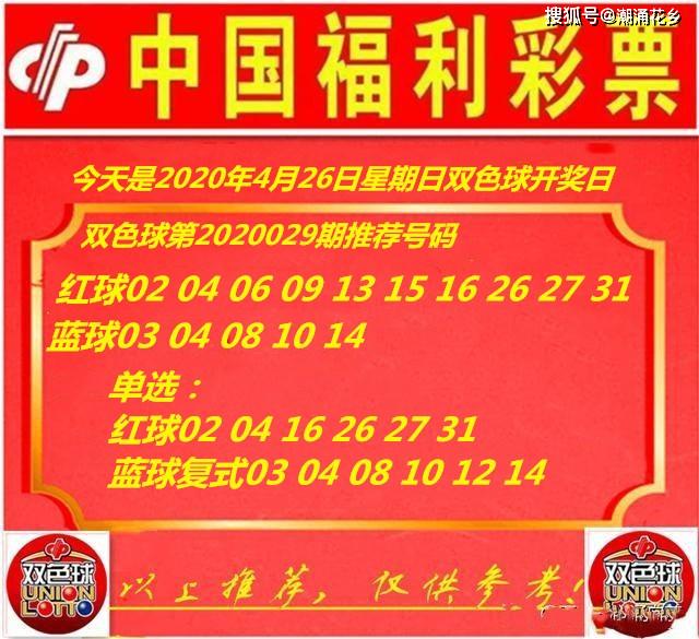 王中王029期指一生肖,揭秘生肖魅力與預測背后的秘密,揭秘生肖魅力與預測背后的秘密,王中王生肖預測第029期揭曉