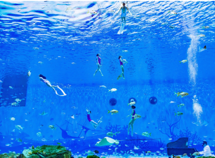 海昌海洋公園門票價(jià)格詳解，海昌海洋公園門票價(jià)格全面解析