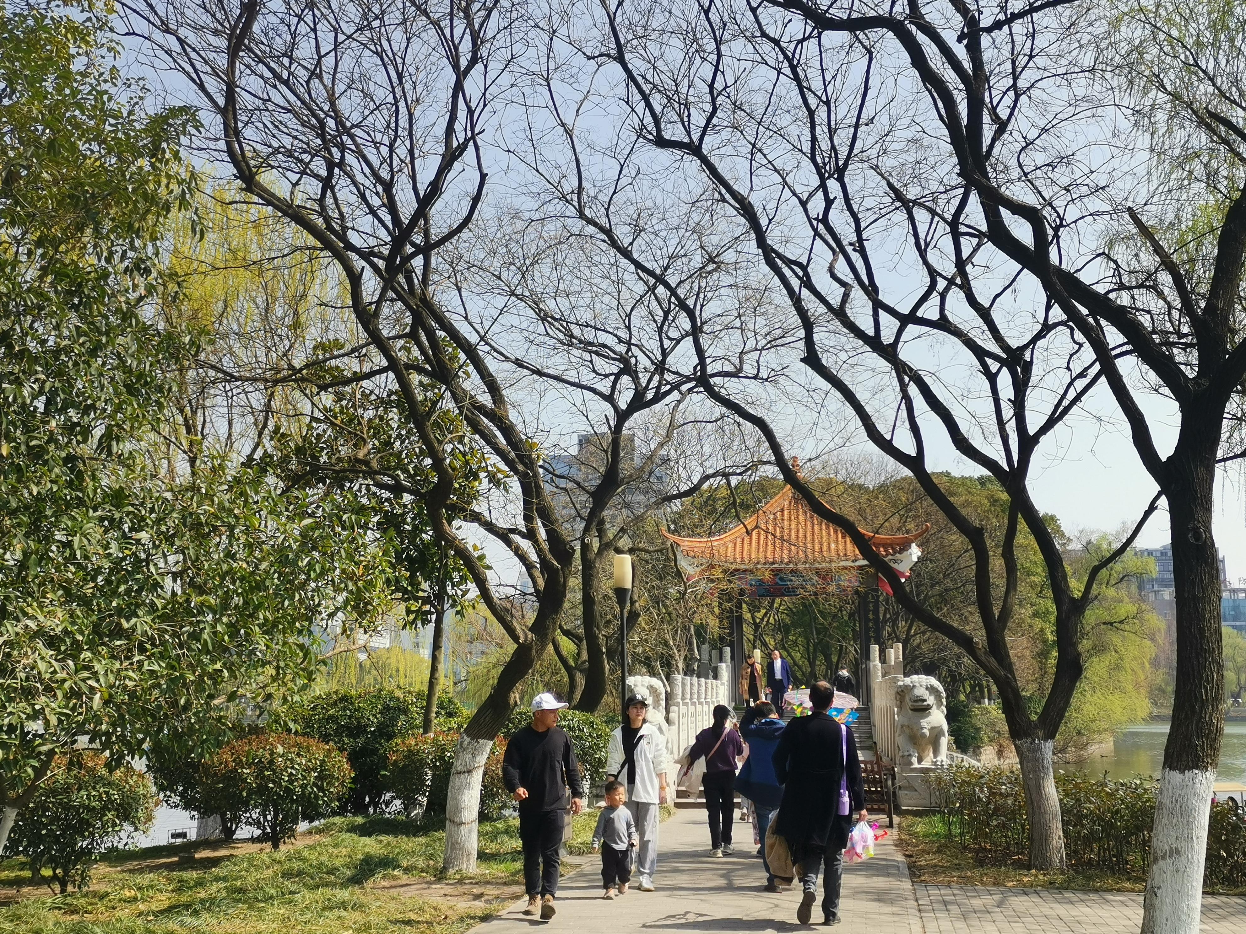 澳門75期最快天天開獎，揭秘彩票背后的秘密與策略，澳門75期天天開獎揭秘，彩票背后的秘密與策略探究