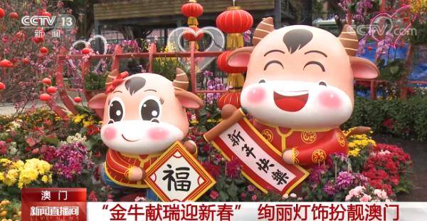 澳門金牛網金牛版論壇——探索與解析，澳門金牛網金牛版論壇，深度探索與解析