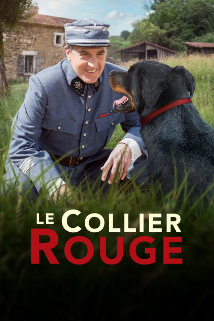 揭秘劉伯溫預言中的四不像必出一肖，劉伯溫預言揭秘，四不像預示必出一生肖