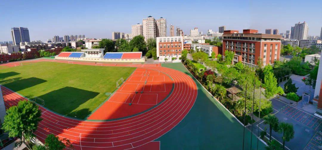 特平一肖王中王大公開，揭秘背后的秘密與策略，揭秘特平一肖王中王大策略與背后秘密