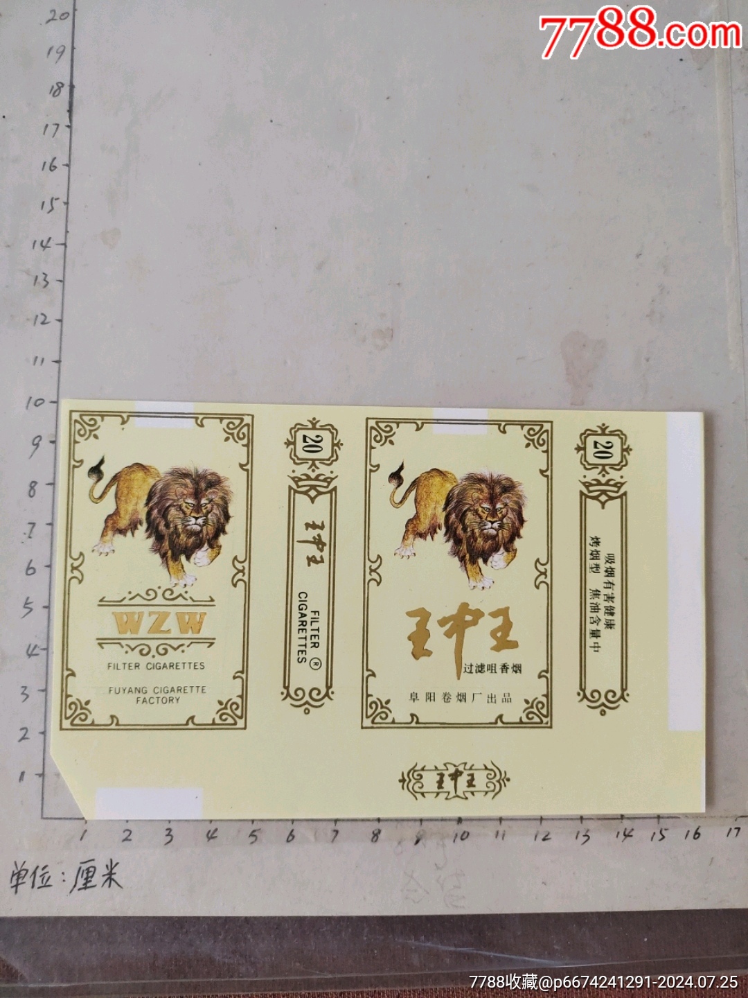 揭秘4788王中王一肖中特——探索獨特魅力的奧秘,揭秘王中王一肖中特獨特魅力的奧秘探索