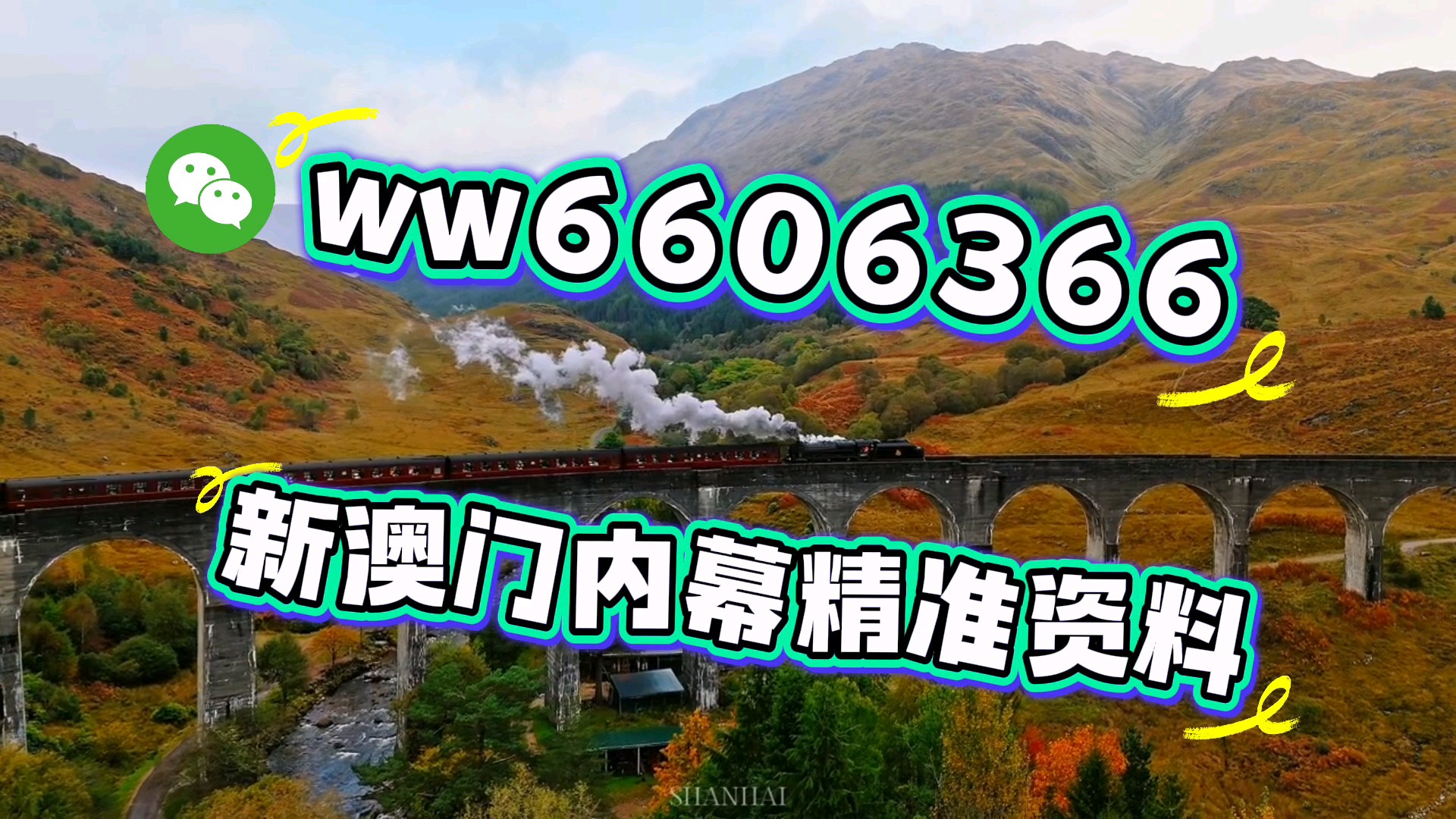 澳門一肖一碼期期準必開一肖,揭秘彩票背后的秘密與策略,揭秘澳門彩票背后的秘密策略與期期必開一肖的真相