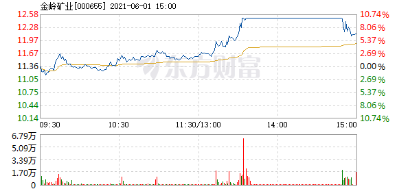 金嶺礦業(yè)股票，投資潛力與前景展望，金嶺礦業(yè)股票投資潛力與前景展望分析