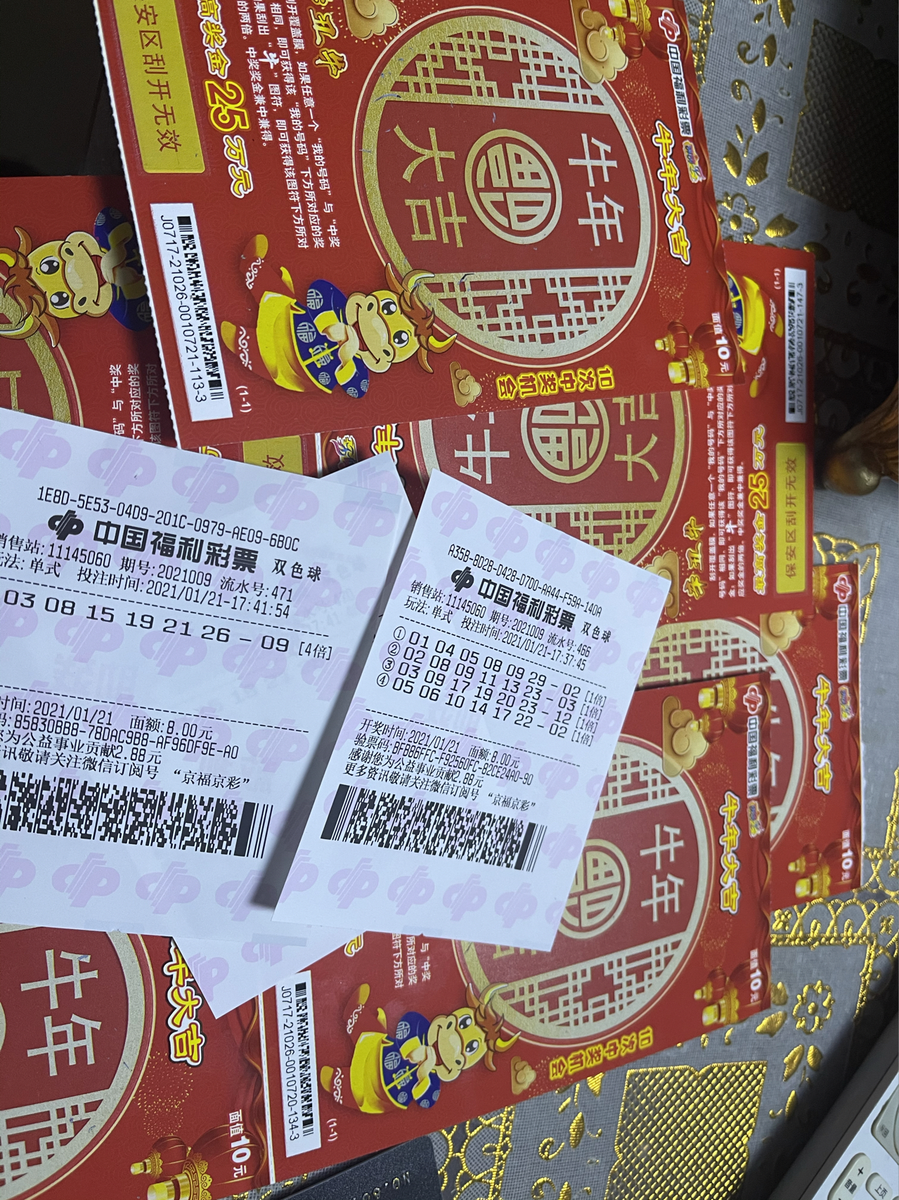 香巷平特一肖王中王，揭秘背后的秘密與策略，揭秘香巷平特一肖王中王的秘密與策略