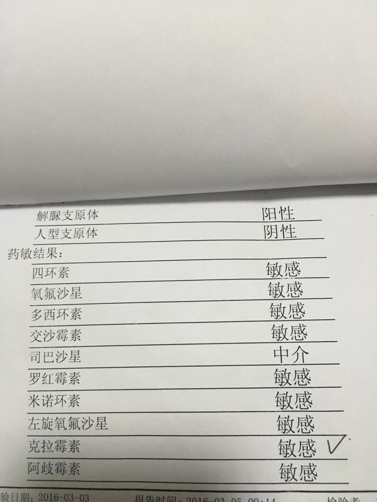 支原體陽性轉陰的時間,了解與應對,支原體陽性轉陰的時間及應對策略