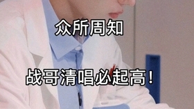 揭秘生肖傳奇,探尋049王中王風冠一肖背后的奧秘,揭秘生肖傳奇背后的奧秘,探尋王中王風冠一肖的神秘面紗