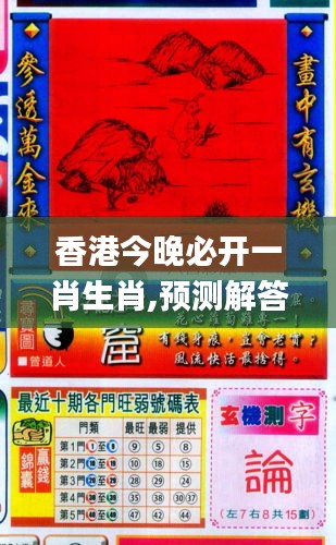 香港與彩王中王精準一肖，揭秘彩票背后的秘密，揭秘彩票背后的秘密，香港與彩王中王精準一肖探究