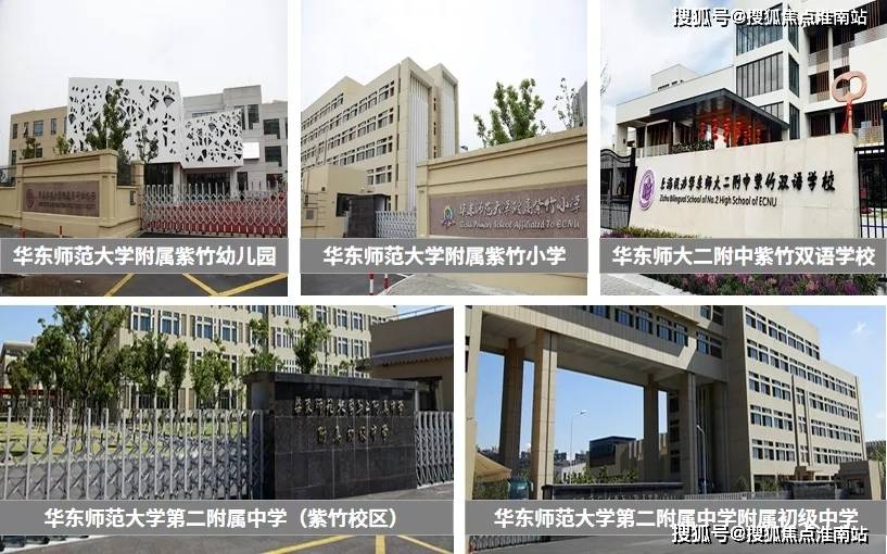 新奧門特資料49圖庫,深度解析與探索,新奧門特資料49圖庫,深度探索與解析