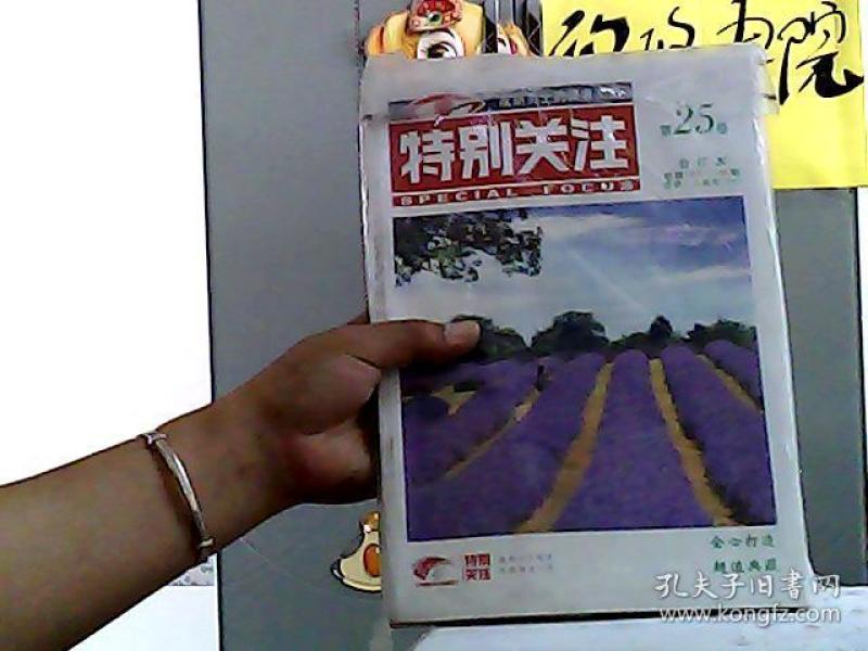 揭秘第143期王中王平特一肖的獨(dú)特魅力,揭秘王中王平特一肖的獨(dú)特魅力