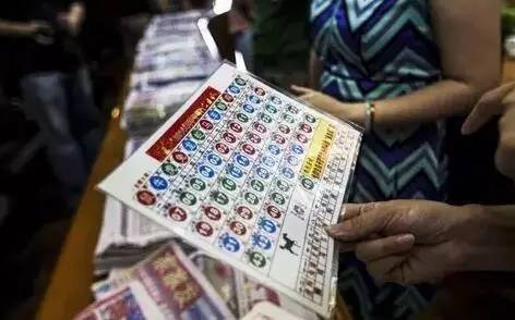 香港王中王開獎結果查詢,今晚開獎盛況一覽,香港王中王開獎結果查詢,今晚盛況揭曉,最新開獎信息一覽