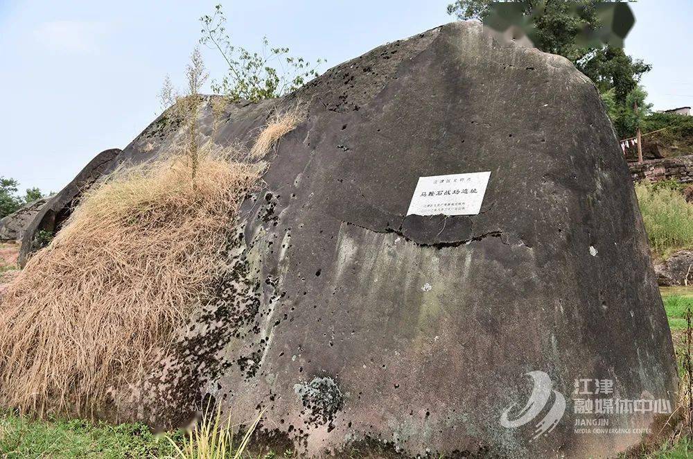 王中王70期指一生肖——深度解析與預測,王中王70期生肖深度解析與預測