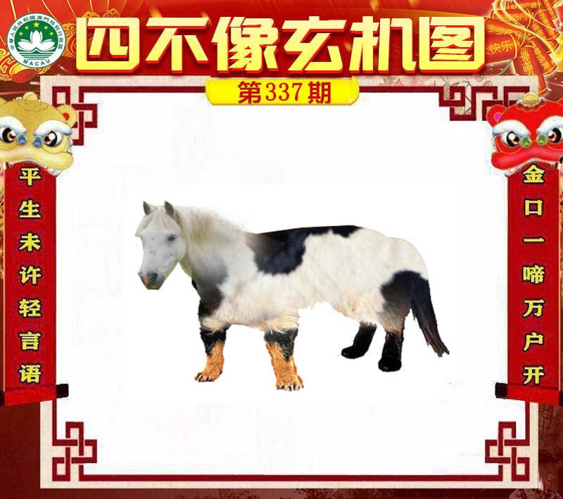 揭秘王中王四不象必中一肖的神秘面紗,揭秘王中王四不象必中生肖的神秘面紗