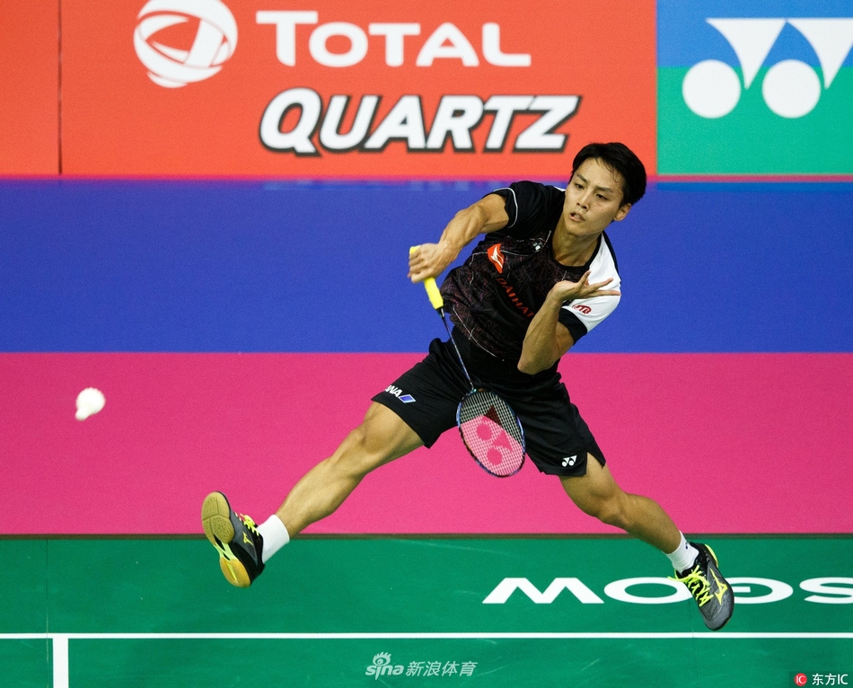 一肖平碼王中王，揭秘背后的秘密與策略，揭秘一肖平碼王中王的秘密與策略