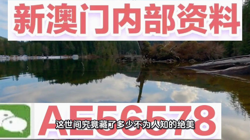 探索未來,2025新澳最新版精準(zhǔn)特色解析,探索未來,揭秘新澳最新版精準(zhǔn)特色解析(2025版)