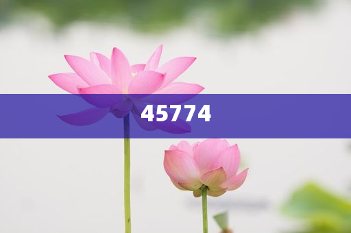 探索澳門正版免費(fèi)資源,未來的趨勢(shì)與預(yù)測(cè)(至2025年),澳門正版免費(fèi)資源趨勢(shì)探索與預(yù)測(cè),未來展望至2025年