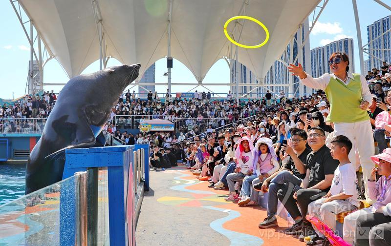 新澳2025今晚開獎結果揭曉,期待與驚喜交織的時刻,新澳2025今晚開獎結果揭曉,期待與驚喜的時刻來臨