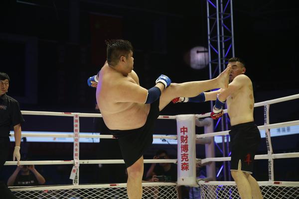 特特馬王中王一碼一肖，揭秘背后的秘密與探索SEO優化策略，特特馬王中王一碼一肖，揭秘背后的秘密與SEO優化策略探索