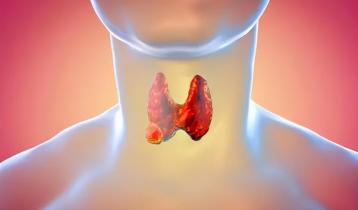 為什么醫(yī)生最怕O型血?探究O型血的特殊之處,探究O型血的特殊之處,醫(yī)生為何對O型血有所顧忌?