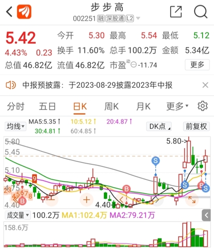 關于股票代碼002251步步高股票行情的全面解析,股票代碼002251步步高股票行情深度解析