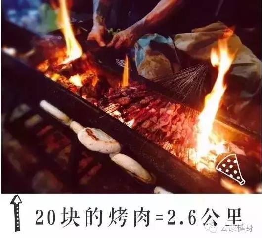 王中王313期指一生肖——揭秘生肖運勢與人生軌跡的獨特聯系，揭秘生肖運勢與人生軌跡的獨特聯系，王中王313期指一生肖詳解